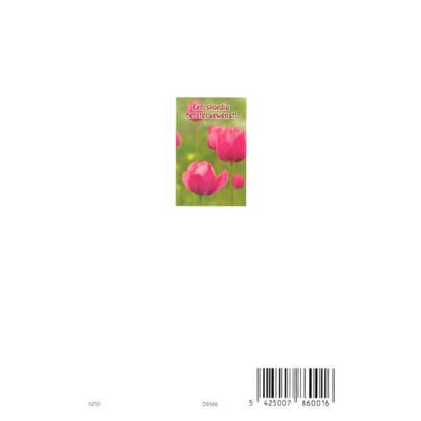 beterschapskaart-spoedig-herstel-gewenst-roze-tulpen-2